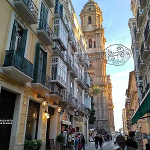  Appartement Luxury Catedral